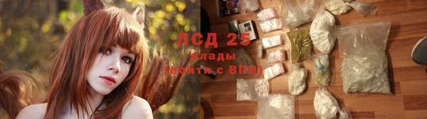соль ск Абаза