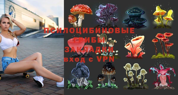 apvp Абинск