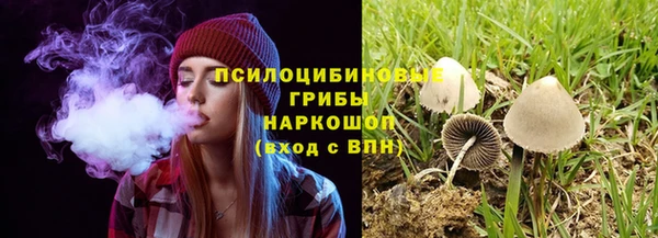 apvp Абинск